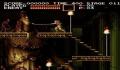 Foto 2 de Castlevania Chronicles