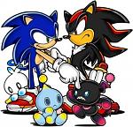 tn sonic and shadow
